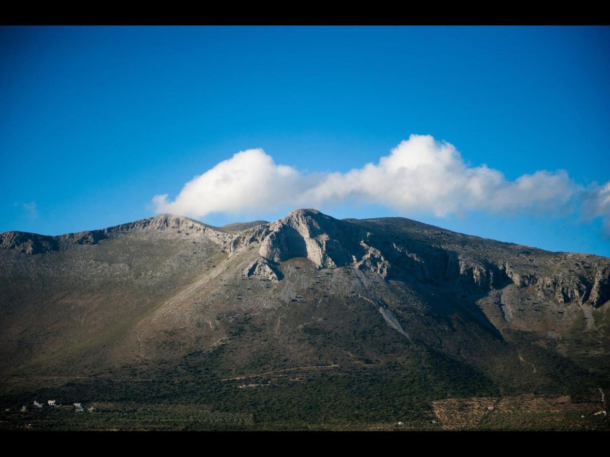 Arapakis Historic Castle Aparthotel Pírgos Dhiroú Kültér fotó